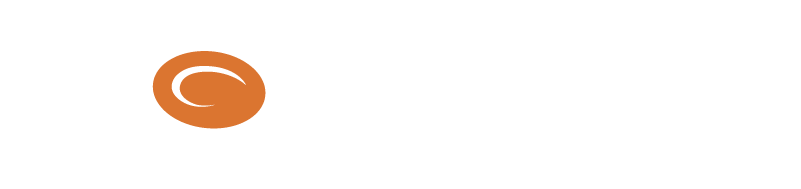 Tiger Team Consulting Logo Rev